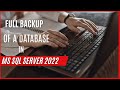 How to Backup a Database in Sql Server 2022
