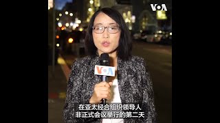 亚太经合组织峰会开幕之际，数以千计示威者云集旧金山表达不同诉求