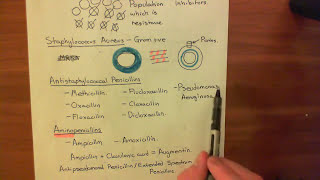 Penicillin and Beta Lactamases Part 4