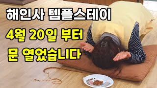 108배를 하면서 염주만들기와 사용법 / 해인사 템플스테이