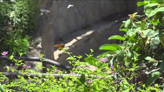 San Diego ranks low on list for 'most outdoor friendly' cities