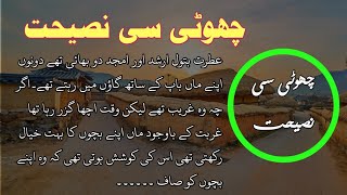 چھوٹی سی نصیحت  | Urdu Story | stories in Urdu | sachi kahani in Hindi | urdu noval