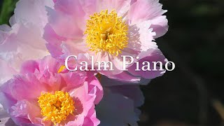 자연과 함께하는 편안하고 힐링되는 피아노 음악 | Calm & Relaxing Piano | 𝐓𝐇𝐄 𝐏𝐈𝐀𝐍𝐎