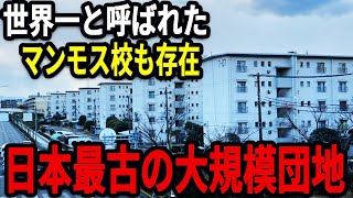 日本で一番初めに建てられた金岡団地。金岡地域にはかつて世界一と呼ばれたマンモス校も存在。