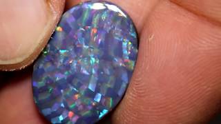 Harlequin Pattern Black Opal The elusive rare pattern