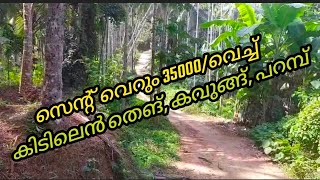 സെന്റ് വെറും 35000/വെച്ച് ഒരു കിടിലെൻ തെങ്, കവുങ്ങ്, പറമ്പ്. വില്പനക്ക്.#kerala #realestate