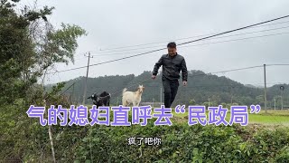 老公在外一个星期终于回家了，刚到就要牵羊去换物资，受啥打击了