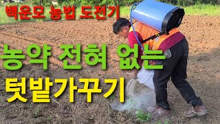 텃밭가꾸기 주말농장 백운모흑운모농법 상추 고추 모종 야생화 제라늄 키우기 다년생식물 키우는 방법