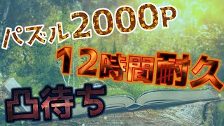 【Puzzle Together】パズル2000ピース 12時間耐久 凸待ち