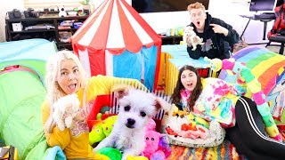 BEST PUPPY PALACE WINS $10,000!