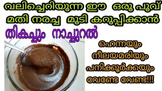 മുറ്റത്ത് നിന്നിട്ടും ഇത് വരെയും  അറിയാതെപോയല്ലോ|Natural hairdye നരച്ച  മുടി സ്ഥിരമായി കറുപ്പിക്കാം