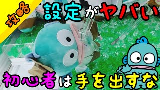 【UFOキャッチャー】新作ハンギョドン！この設定はキビシイ!?ほんの〇〇が〇〇なだけで、、