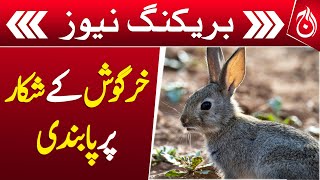 Rabbit hunting banned in Khyber Pakhtunkhwa, wildlife - Breaking - Aaj News