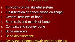 Ultrastructure of bone Bone Development, Growth and Remodeling