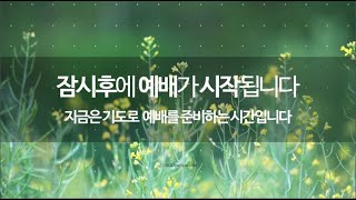 20241215 좋은교회 주일예배  \