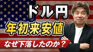 【ドル円年初来安値】0.5％利下げ予想上昇、WSJのニック記者の記事やダドリー前NY連銀総裁のコメントなど