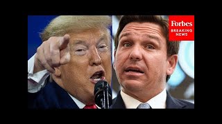 New Poll Has Devastating News For Ron DeSantis, Good News For Donald Trump