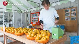 生産者の声　商品名：高丸の梨　生産者：株式会社高丸農園（チアひろしま　広島県産応援登録制度）