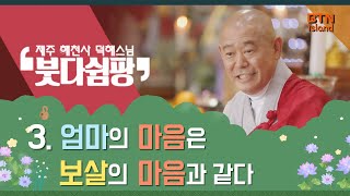 엄마의 마음은 보살의 마음과 같다ㅣ[BTN] 붓다쉼팡 3화