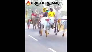 மெடிக்கல் சண்முகபுரம் சாரதி கருப்புத்துரை💐🔥🏆 #rekla_race_2022 #whatsappstatus #பந்தயம்