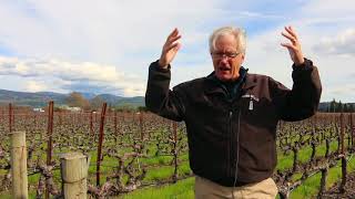 How was Napa Valley formed? Napa Geology with David Howell