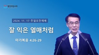 잘 익은 열매 처럼 | 김세중목사 | 2024년 11월 17일 주일2부예배