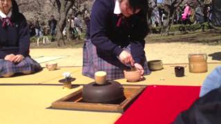 偕楽園野点茶会2014