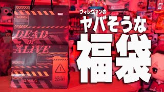 福袋も見た目だけで判断してはダメでした。【ヴィレヴァン福袋 2023年夏版】