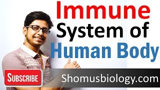 Innate and adaptive immunity | immune system of human body lecture