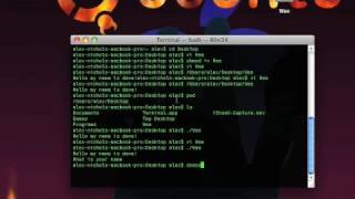 Perl Lesson 1