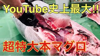 ⚠️超特大マグロを20年間捌き続けた男の神業‼︎