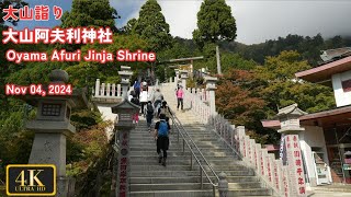 大山阿夫利神社 Oyama Afuri Jinja Shrine［大山詣り］