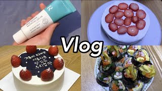 (Eng) Make Lettering Cake, Making Gimbap,  Playing in the snow with a dog / daily vlog