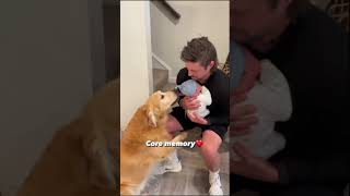 Pet Dogs Meet A Newborn Baby For The First Time.