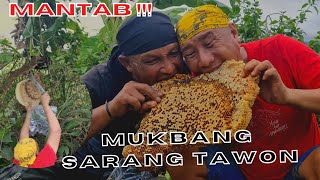 MANTAB !!! Panen Madu Hutan diatas Sungai, di  Pohon Besar | Penuh Tantangan