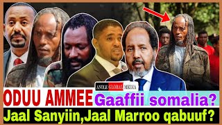 Jaal Sanyiin,Jaal Marroo qabuuf?//Gaaffi somalia//1/2/2025/AGM