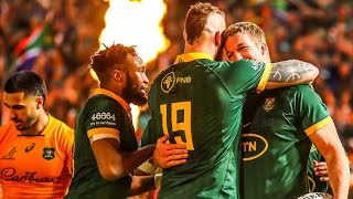 SPRINGBOKS RUGBY TRIBUTE 2023 || RUGBY WORLD CUP