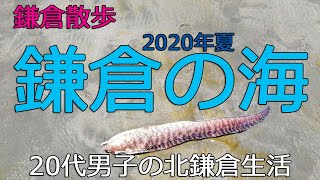 【鎌倉】kamakuRakuda 鎌倉の海