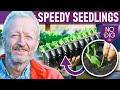 Speedy Seedlings for Small Spaces: Techniques for a Productive Garden