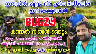 India’s costliest Rottweiler Bugzy | Interview with owner Jiby Chemboli | English Subtitled