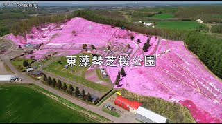 空撮　北海道網走郡大空町「東藻琴芝桜公園」　Aerial Shoot above Higashimokoto Shibasakura Park at Ozora-cho Hokkaido, Japan