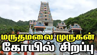 Marudamalai Murugan Temple|| Marudhamalai Murugan Temple