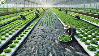 What China's Hydroponic Farming Boom Means for the Future of Food