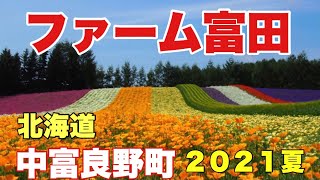 【ファーム富田】富良野ドライブ！今がラベンダーの見頃です。色とりどりの花畑に癒される旅