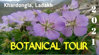 ll Botanical Tour II EJM College Il Leh Ladakh II Khardongla II Plant Diversity II