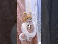 【獨生子的日常】一觉起来麻麻不见了 铲屎官的乐趣 小奶喵 小奶猫 铲屎官的乐趣 洗澡 猫咪成精 cutecats 萌寵 cat 動物 cute funnycat pet