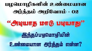 அடியாத மாடு படியாது../பழமொழியின் சரியான அர்த்தம் என்ன ? பழமொழிகளின் உண்மை அர்த்தம் அறிவோம் - 02