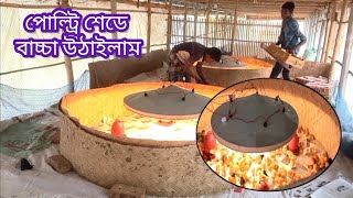 পোল্ট্রি মুরগির খামারে বাচ্চা নিলাম ১০০০ পিস