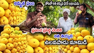 మధుర ఫలం ఉలవపాడు మామిడి | World Famous Ulavapadu Mangoes | Food Book