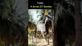 Agricultural Land for Sale in Sira | Near Tumkur | Near Bangalore | Coconut Farm #shorts #forsale